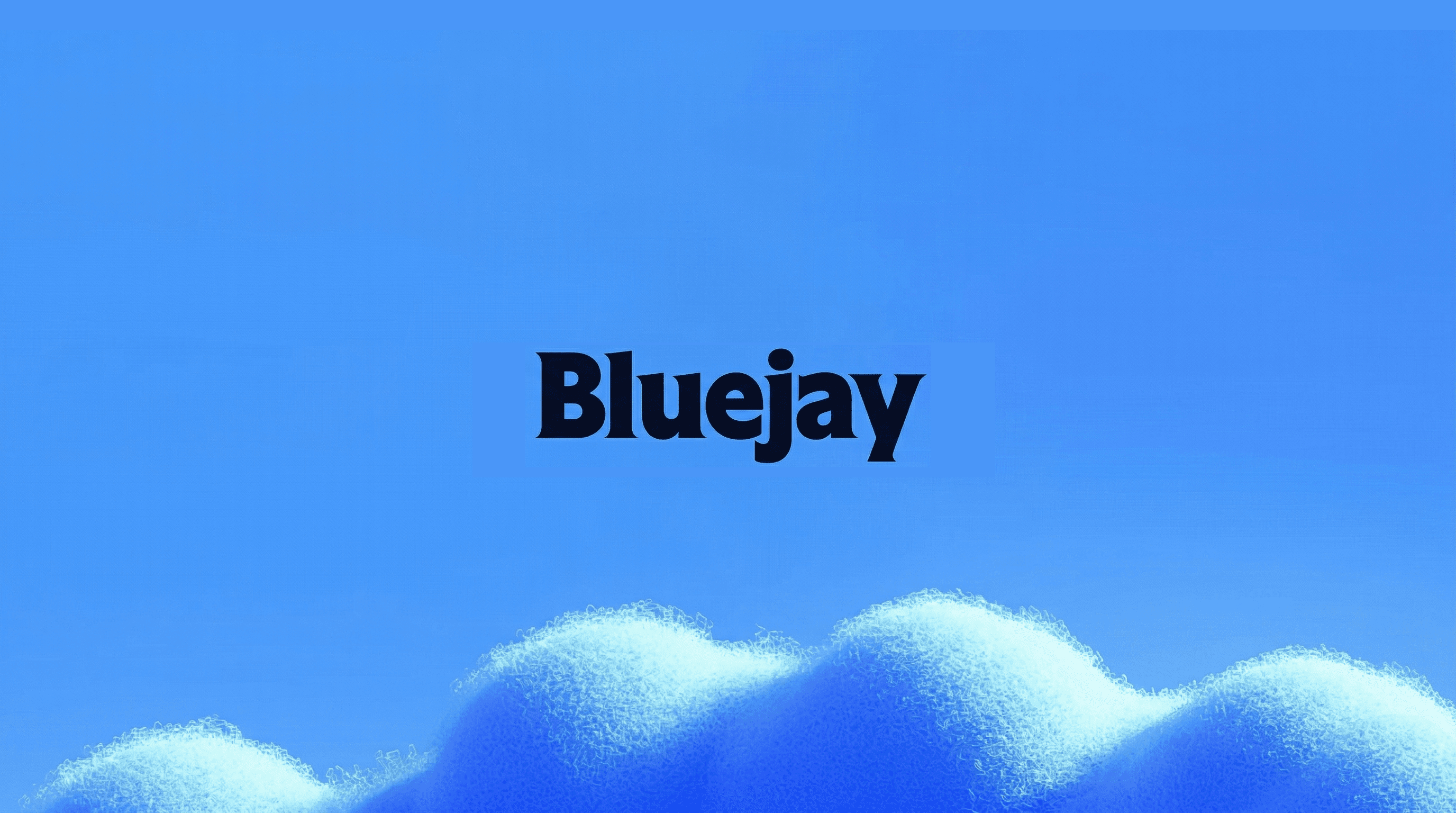 Bluejay (YC X25)